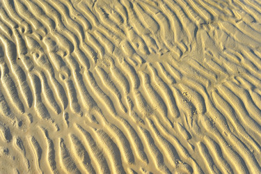 Similar image 974518