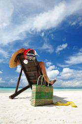 Similar image 974546