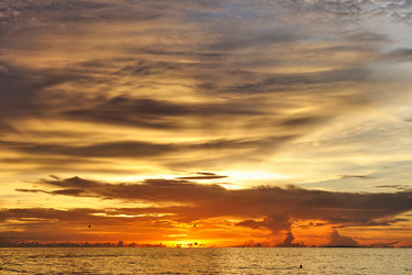 Similar image 974558