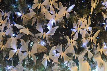 Similar image 974593