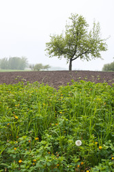 Similar image 974635