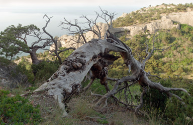 Similar image 974652