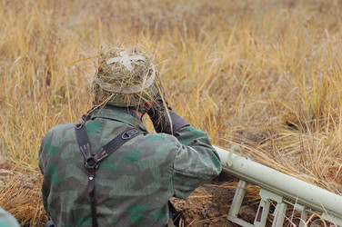 Similar image 974686