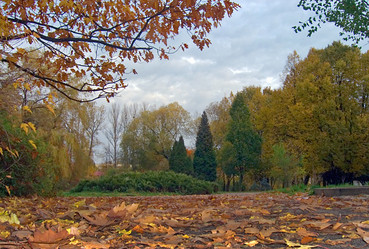 Similar image 974687