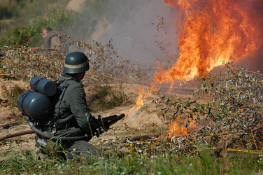 Similar image 974700