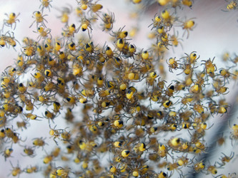 Similar image 974701