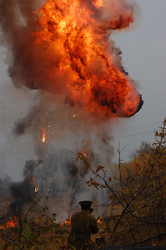 Similar image 974704