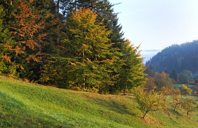 Similar image 974726