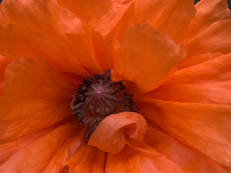 Similar image 974889