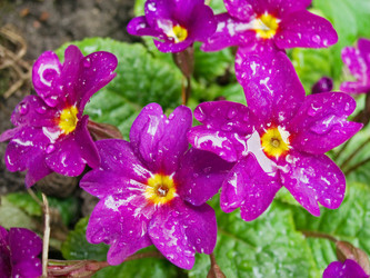 Similar image 974926