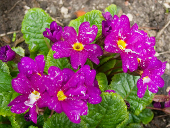 Similar image 974938