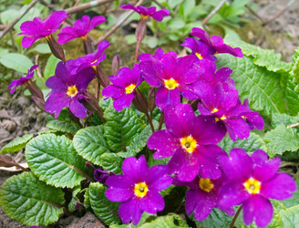 Similar image 974943