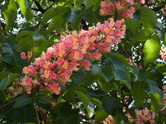 Similar image 974948