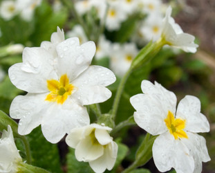 Similar image 974953