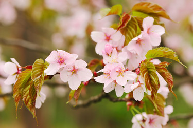 Similar image 974961