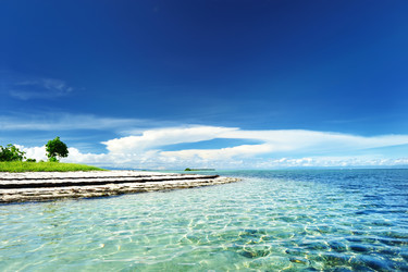 Similar image 974977