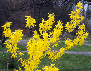 Similar image 974987