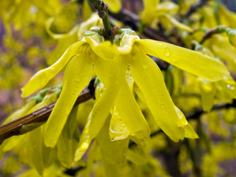 Similar image 974994