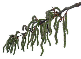 Similar image 975003