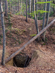 Similar image 975029