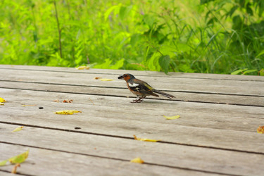 Similar image 975051