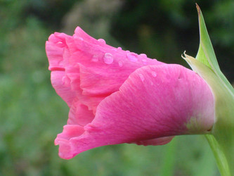 Similar image 975088