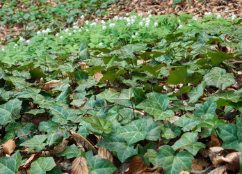 Similar image 975093