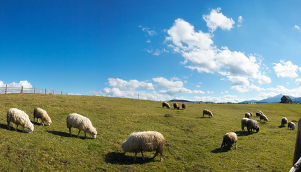 Similar image 975103