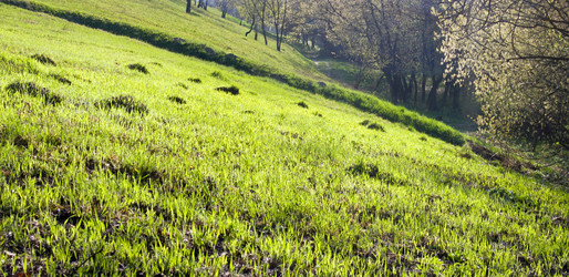 Similar image 975121