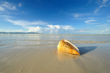 Similar image 975127