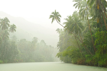 Similar image 975177