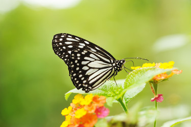 Similar image 975187