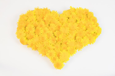 Similar image 975198