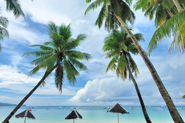 Similar image 975203