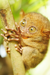 Similar image 975223