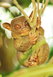 Similar image 975225