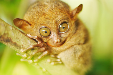 Similar image 975226