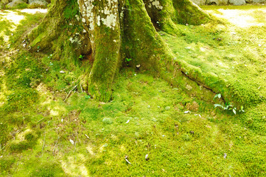 Similar image 975227