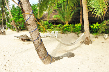 Similar image 975256