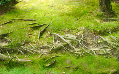 Similar image 975266