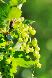 Similar image 975414