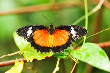 Similar image 975511