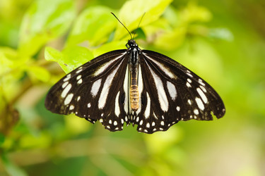 Similar image 975514