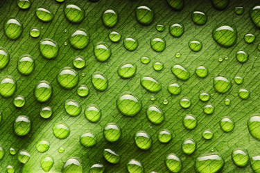 Similar image 975537