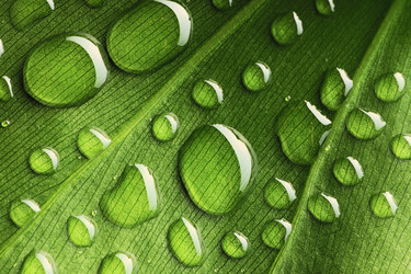 Similar image 975540