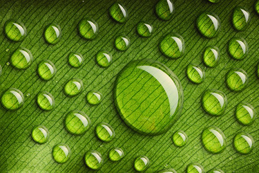 Similar image 975609