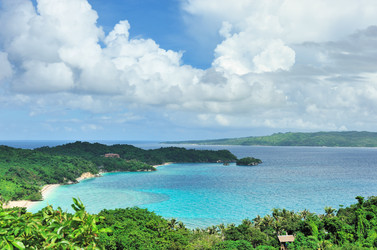 Similar image 975621