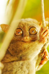 Similar image 975627