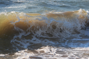 Similar image 975663