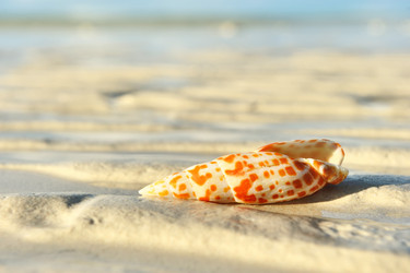 Similar image 975672